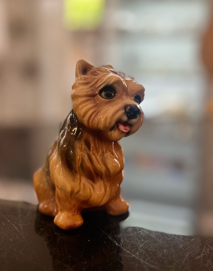 yorkshire-terrier-ceramica-angolobellaria.it