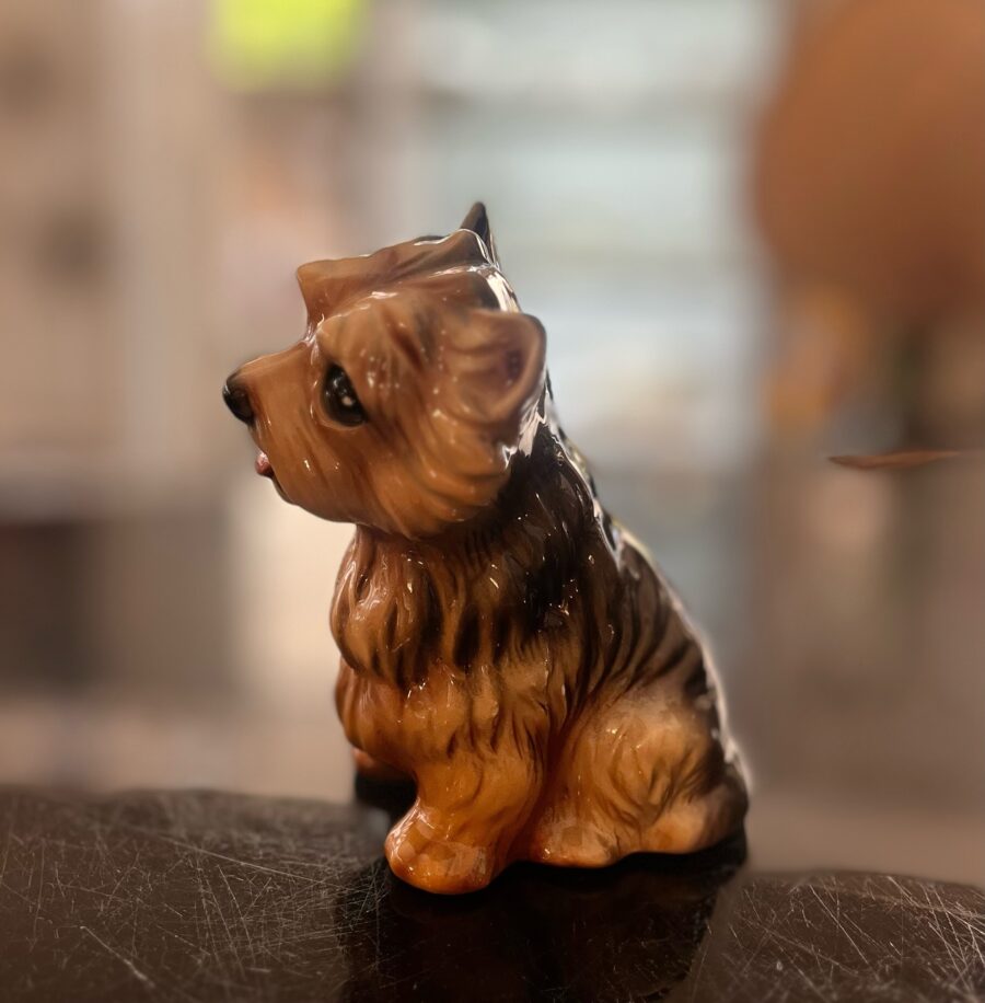 yorkshire-terrier-ceramica2-angolobellaria.it